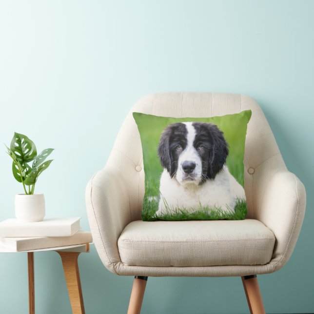 Cutest Baby Animals | Newfoundland Puppy Throw Pillow (Chair)