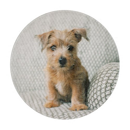 Cutest Baby Animals  Norfolk Terrier Puppy Cutting Board