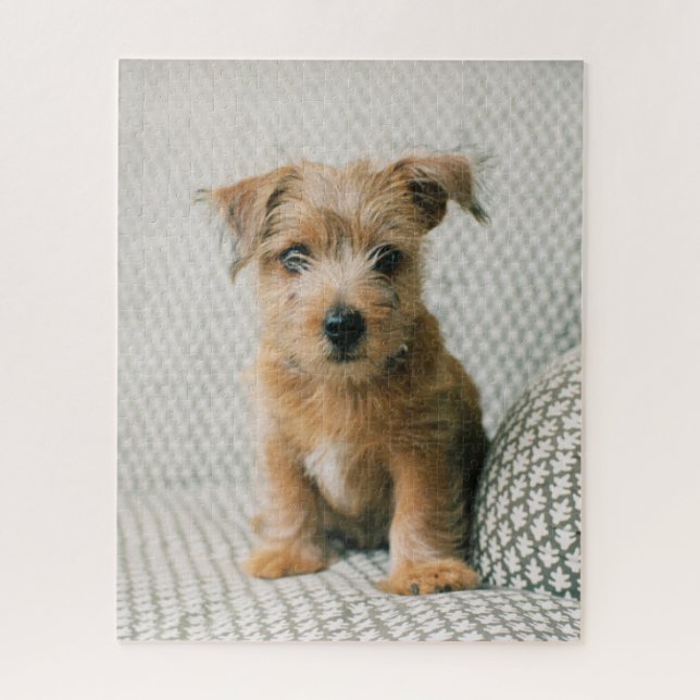 Cutest Baby Animals | Norfolk Terrier Puppy Jigsaw Puzzle (Vertical)