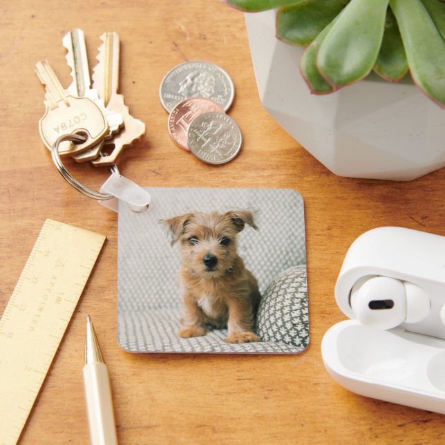 Cutest Baby Animals | Norfolk Terrier Puppy Keychain (Desk)