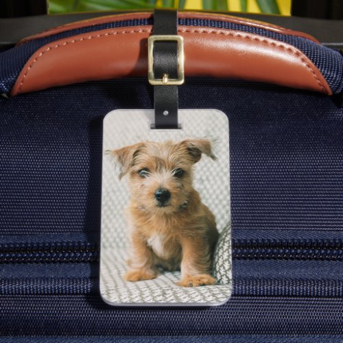 Cutest Baby Animals  Norfolk Terrier Puppy Luggage Tag