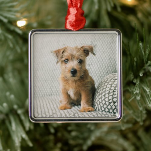 Cutest Baby Animals  Norfolk Terrier Puppy Metal Ornament