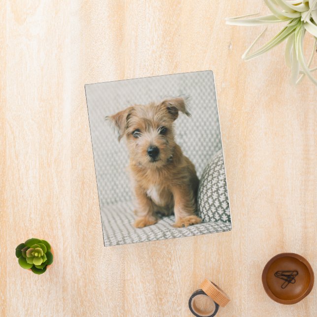 Cutest Baby Animals | Norfolk Terrier Puppy Mini Binder (InSitu)