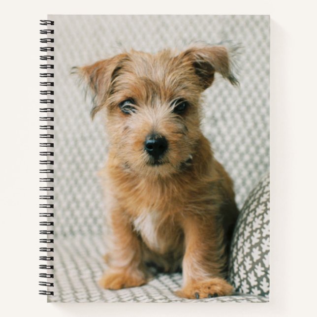 Cutest Baby Animals | Norfolk Terrier Puppy Notebook (Front)