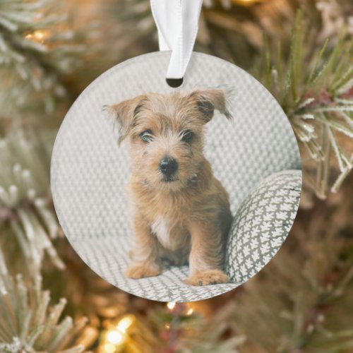 Cutest Baby Animals  Norfolk Terrier Puppy Ornament