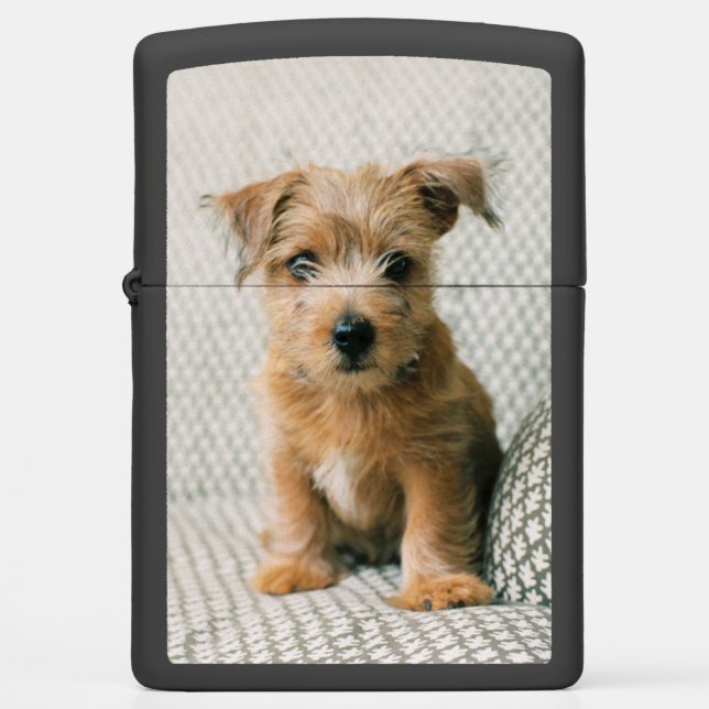 Cutest Baby Animals | Norfolk Terrier Puppy Zippo Lighter (Front)