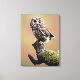 Cutest Baby Animals | Northern Saw Whet Owl Canvas Print