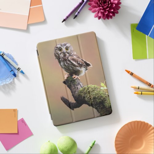 Cutest Baby Animals  Northern Saw Whet Owl iPad Air Cover