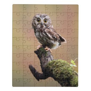 Cutest Baby Animals Northern Saw Whet Owl Jigsaw Puzzle