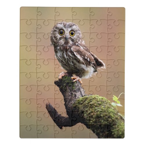 Cutest Baby Animals  Northern Saw Whet Owl Jigsaw Puzzle