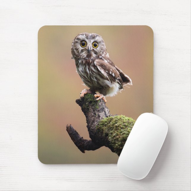 Cutest Baby Animals | Northern Saw Whet Owl Mouse Pad (With Mouse)