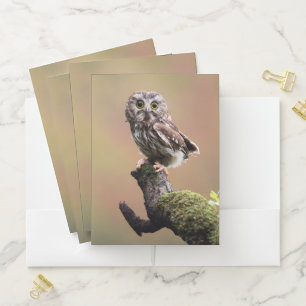 Cutest Baby Animals Northern Saw Whet Owl Pocket Folder