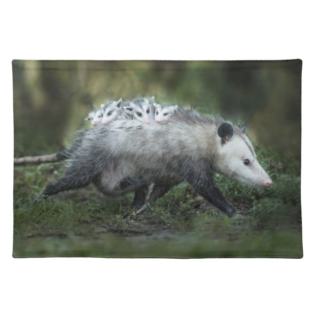 Cutest Baby Animals | Opossum Mom & Kids Cloth Placemat (Front)