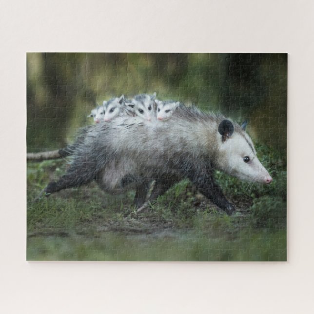 Cutest Baby Animals | Opossum Mom & Kids Jigsaw Puzzle (Horizontal)