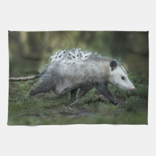 Cutest Baby Animals Opossum Mom & Kids Kitchen Towel