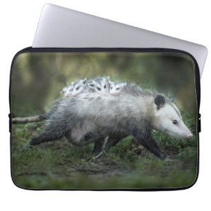 Cutest Baby Animals Opossum Mom & Kids Laptop Sleeve