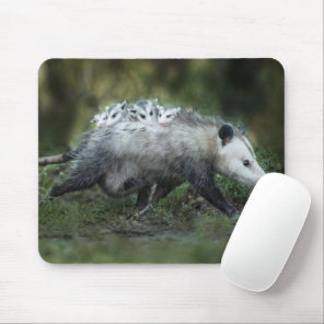 Cutest Baby Animals | Opossum Mom & Kids Mouse Pad