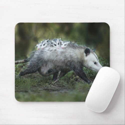 Cutest Baby Animals  Opossum Mom  Kids Mouse Pad