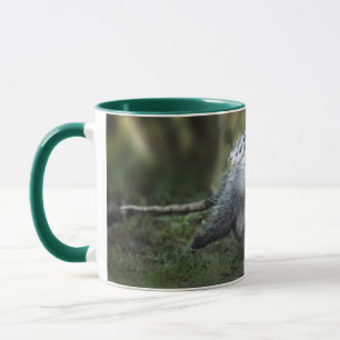 Cutest Baby Animals   Opossum Mom & Kids Mug