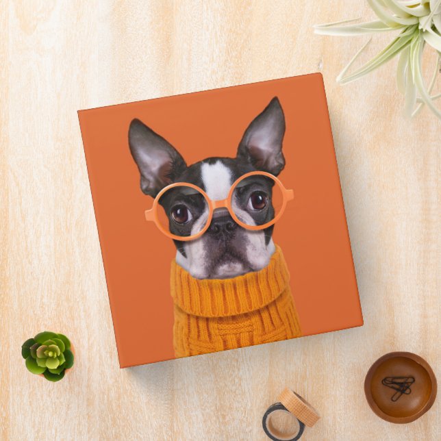 Cutest Baby Animals | Orange Boston Terrier 3 Ring Binder (In Situ)