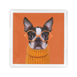 Cutest Baby Animals Orange Boston Terrier Acrylic Tray