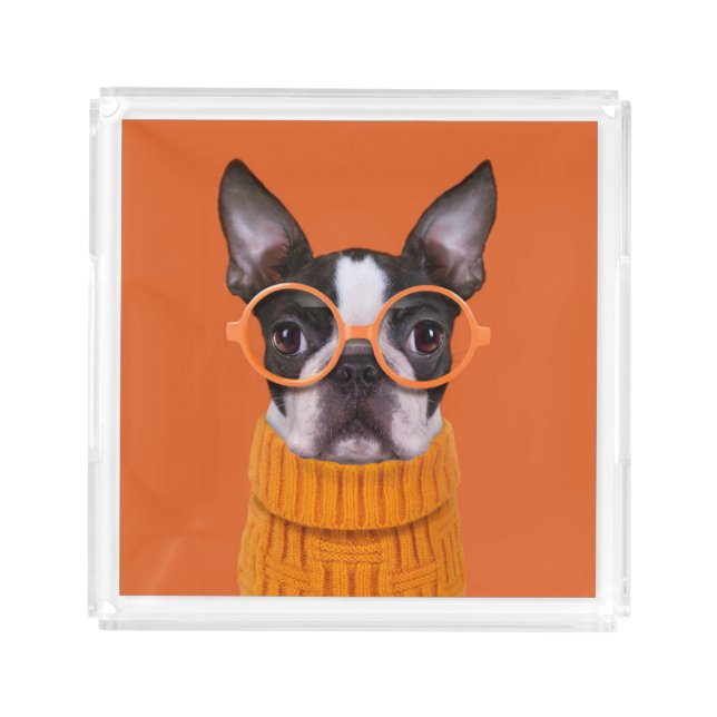 Cutest Baby Animals | Orange Boston Terrier Acrylic Tray (Front)