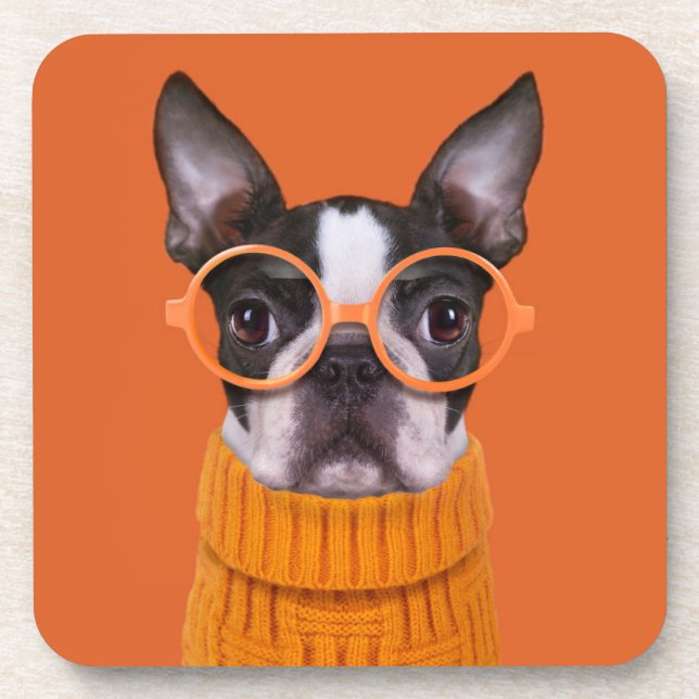 Cutest Baby Animals | Orange Boston Terrier Beverage Coaster (Front)