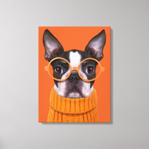 Cutest Baby Animals  Orange Boston Terrier Canvas Print