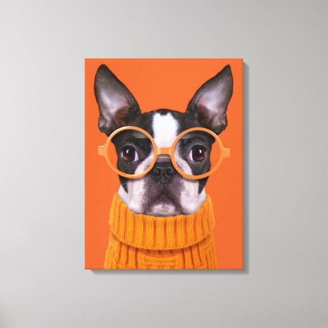 Cutest Baby Animals | Orange Boston Terrier Canvas Print (Front)