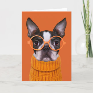 Cutest Baby Animals | Orange Boston Terrier Card