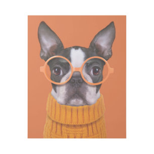 Cutest Baby Animals Orange Boston Terrier Gallery Wrap