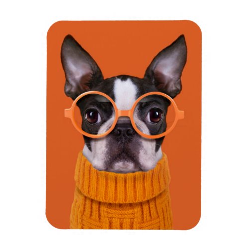 Cutest Baby Animals  Orange Boston Terrier Magnet