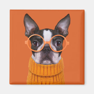 Cutest Baby Animals Orange Boston Terrier Magnet
