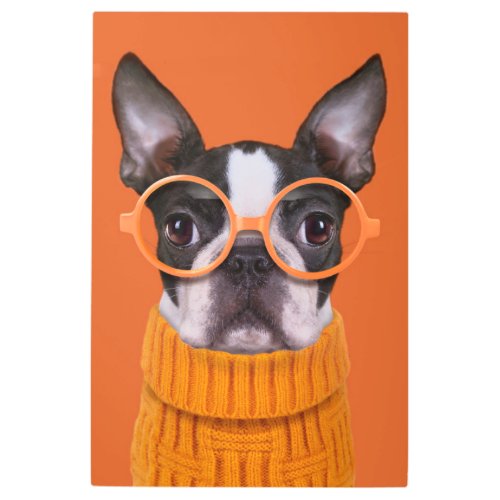 Cutest Baby Animals  Orange Boston Terrier Metal Print