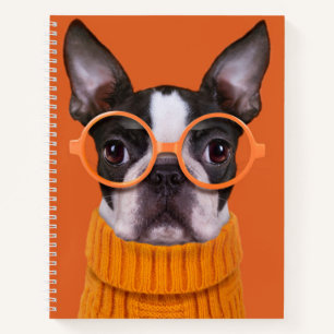Cutest Baby Animals Orange Boston Terrier Notebook