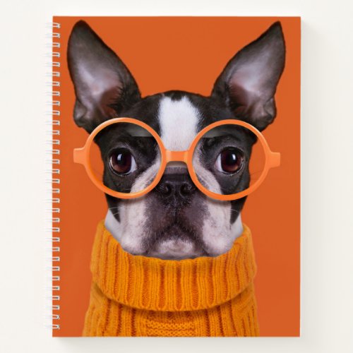 Cutest Baby Animals  Orange Boston Terrier Notebook