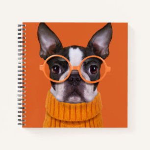 Cutest Baby Animals Orange Boston Terrier Notebook