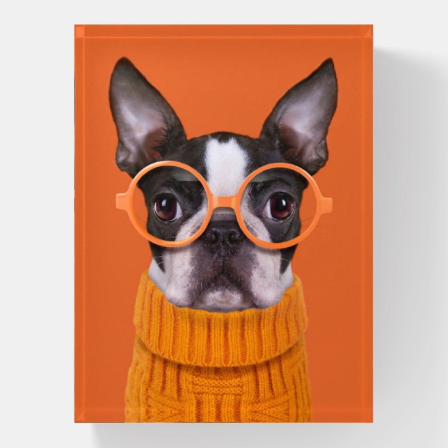 Cutest Baby Animals | Orange Boston Terrier Paperweight (Vertical)