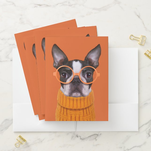 Cutest Baby Animals | Orange Boston Terrier Pocket Folder (In Situ)