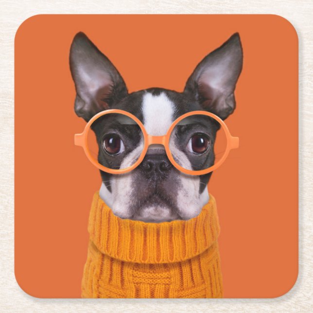 Cutest Baby Animals | Orange Boston Terrier Square Paper Coaster (Front)