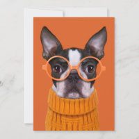 Cutest Baby Animals | Orange Boston Terrier