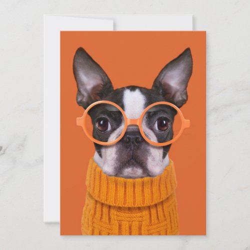 Cutest Baby Animals  Orange Boston Terrier Thank You Card