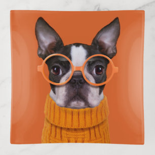 Cutest Baby Animals Orange Boston Terrier Trinket Tray