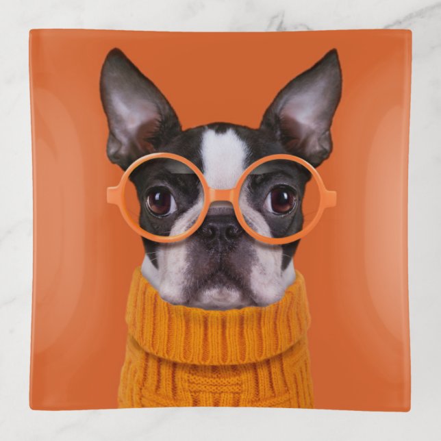 Cutest Baby Animals | Orange Boston Terrier Trinket Tray (Front)
