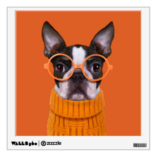 Cutest Baby Animals Orange Boston Terrier Wall Decal
