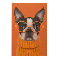 Cutest Baby Animals | Orange Boston Terrier