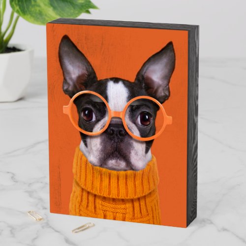 Cutest Baby Animals  Orange Boston Terrier Wooden Box Sign