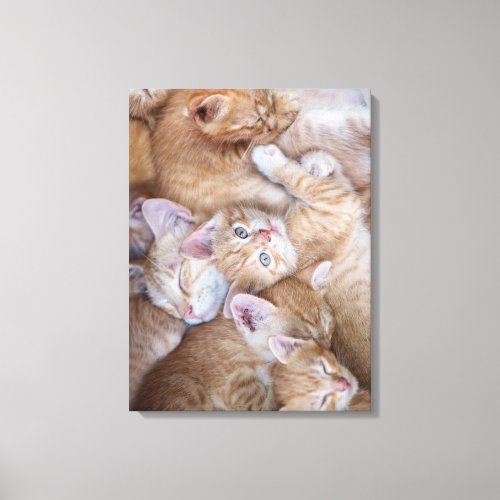 Cutest Baby Animals  Orange Kitten Pile Canvas Print