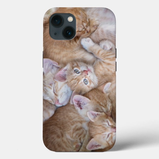 Cutest Baby Animals | Orange Kitten Pile Case-Mate iPhone Case (Back)