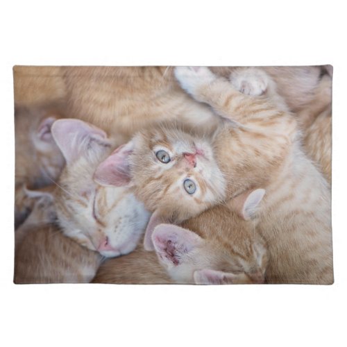 Cutest Baby Animals  Orange Kitten Pile Cloth Placemat